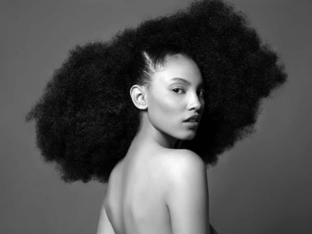  Beauty Trend
