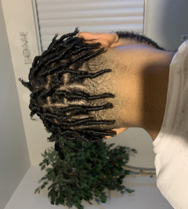 Loc Start for Laustylz